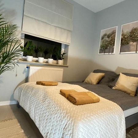 פז'מיסל Apartament Plaza Park מראה חיצוני תמונה