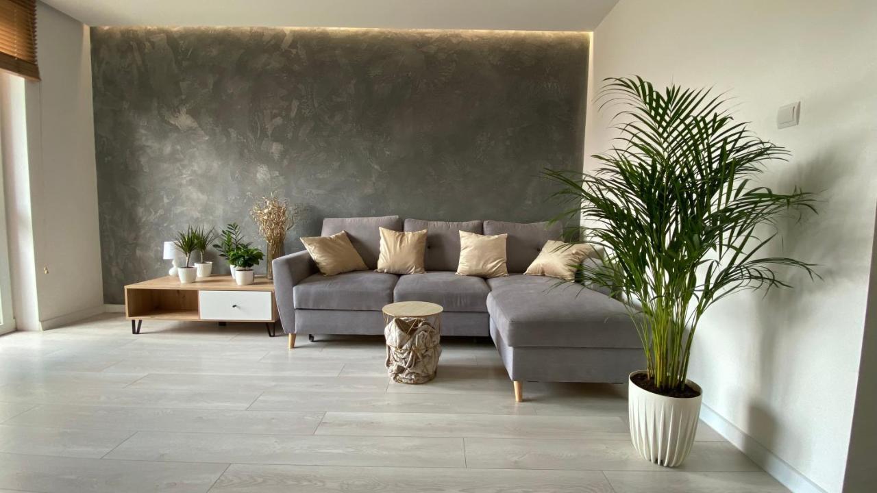 פז'מיסל Apartament Plaza Park מראה חיצוני תמונה