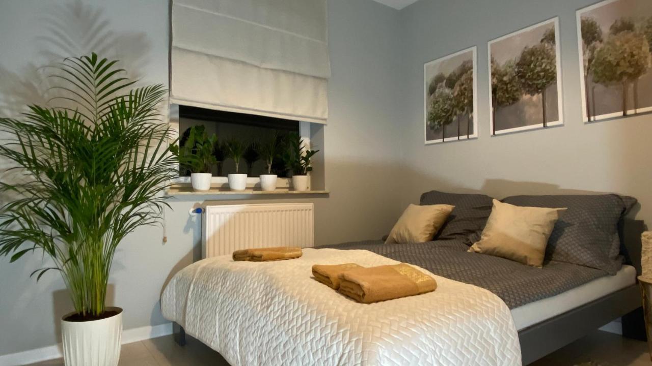 פז'מיסל Apartament Plaza Park מראה חיצוני תמונה