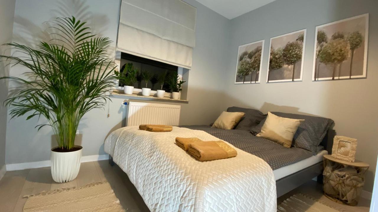 פז'מיסל Apartament Plaza Park מראה חיצוני תמונה